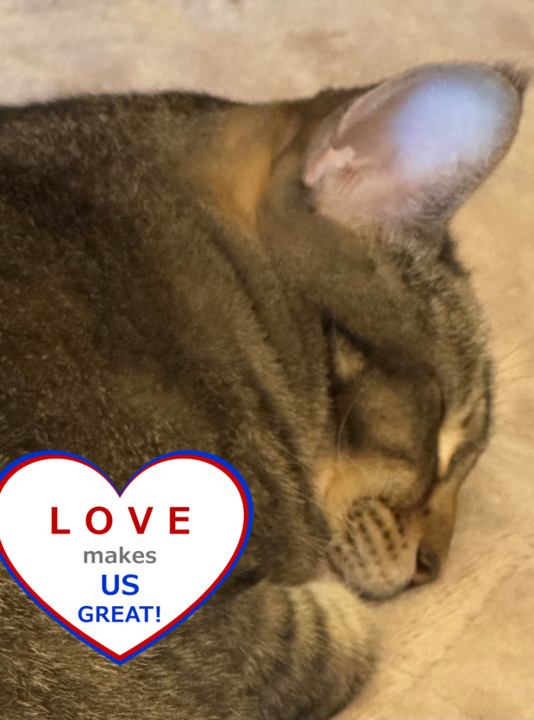 Sleeping Cat Brown tabby cat sleeping and heart logo that says Love Makes US great
