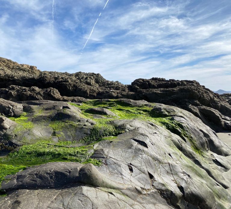 Green moss on smooth rocks and a blue sky scattered with clouds.