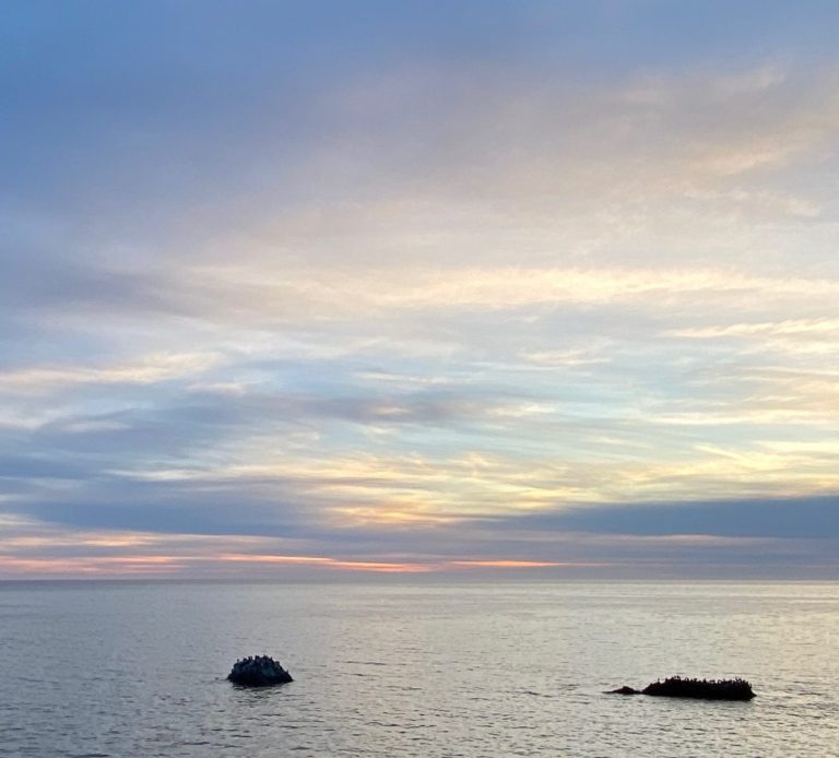Serene ocean view from cliffs near Cayucos, CA at sunset with soft clouds and distant rocks.