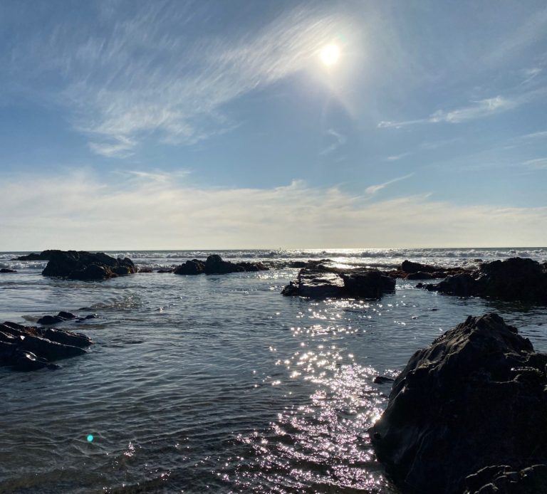 Bright sun over a rocky shoreline with rippling water and distant horizon.
