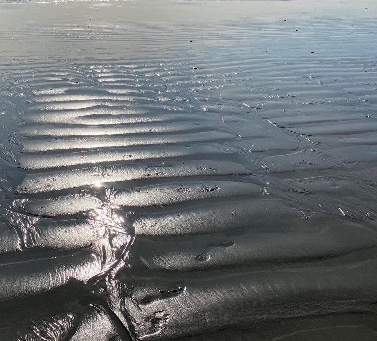 Ripples on the sand at the shoreline